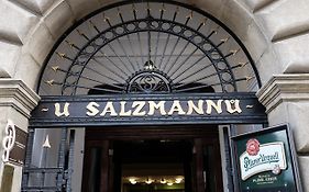 Penzion U Salzmannů